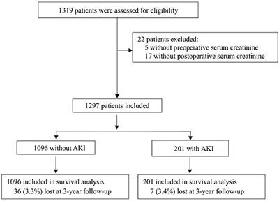 Acute Kidney Injury and 3-Year Mortality in Elderly Patients After Non-cardiac Surgery